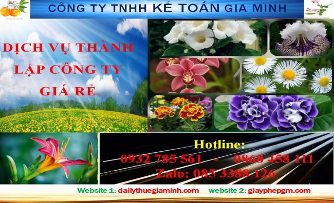 Thủ tục thành lập hộ kinh doanh tại Thị Xã Tân Uyên 4 Thủ tục thành lập hộ kinh doanh tại Thị Xã Tân Uyên
