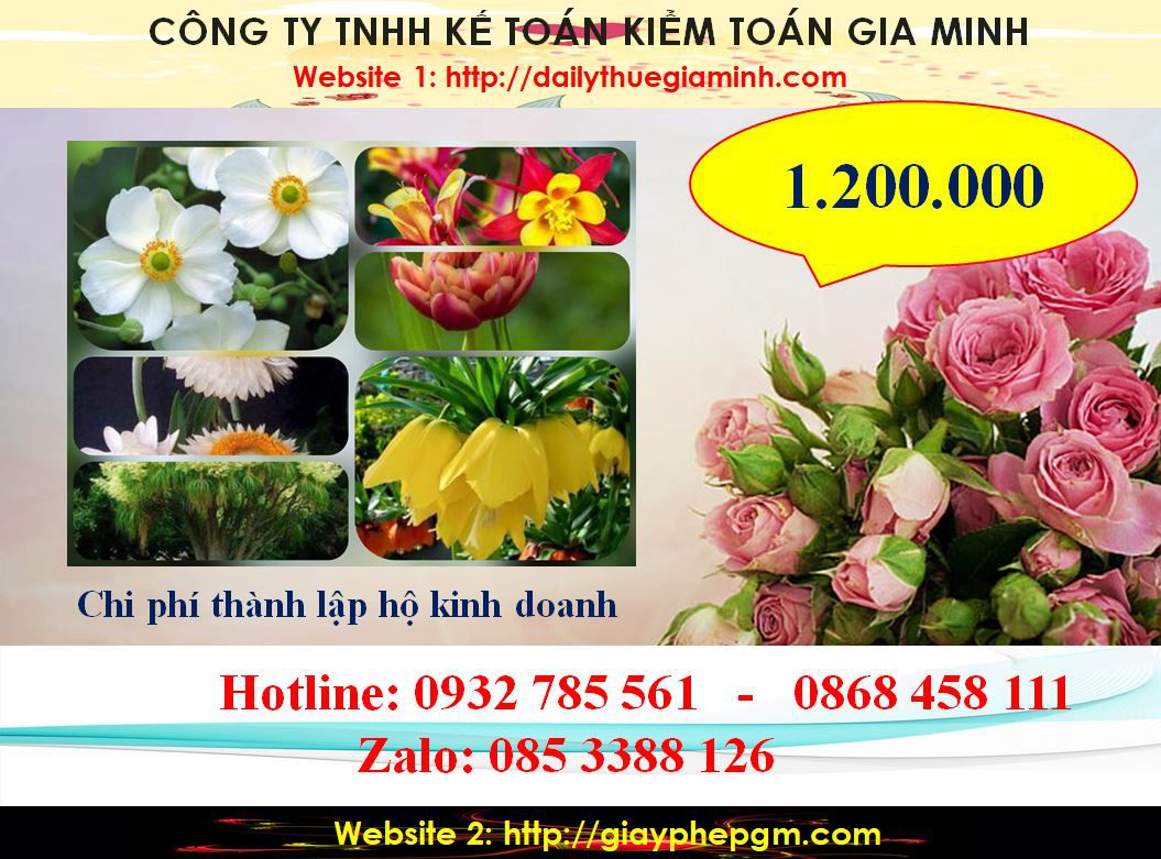 Chi phí thành lập hộ kinh doanh tại Thị Xã Thuận An