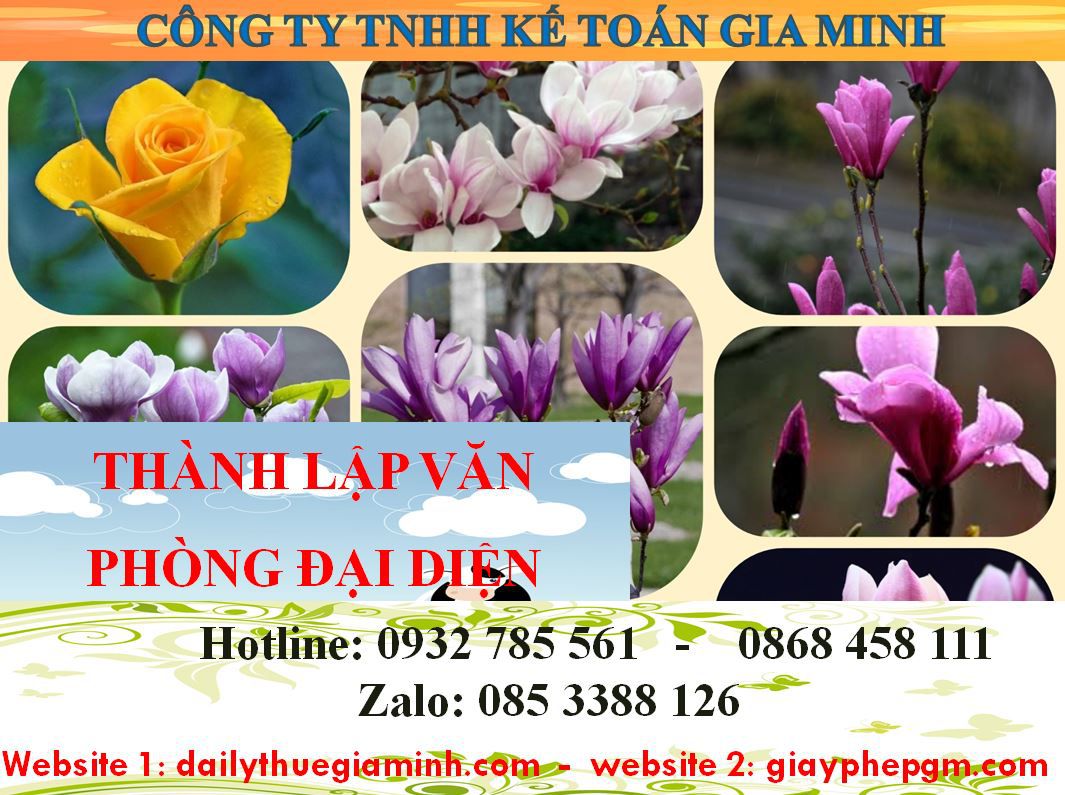 Thủ tục thành lập văn phòng đại diện tại An Giang