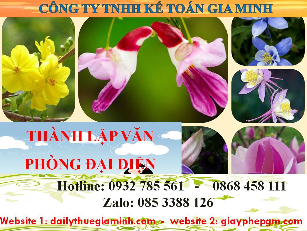 Dịch vụ thành lập văn phòng đại diện tại Quận 1 4 Thủ tục thành lập văn phòng đại diện tại Quận 1
