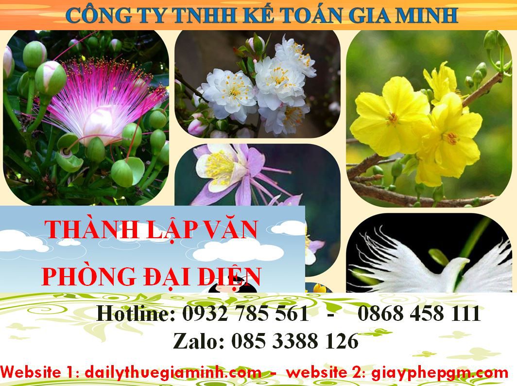 Thủ tục thành lập văn phòng đại diện tại Quận 11