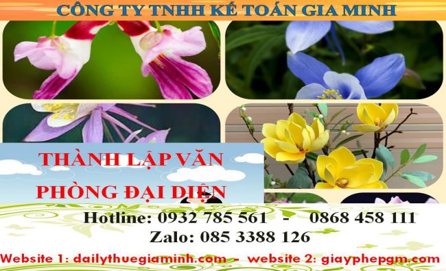 Dịch vụ thành lập văn phòng đại diện tại Quận 3 4 Thủ tục thành lập văn phòng đại diện tại Quận 3