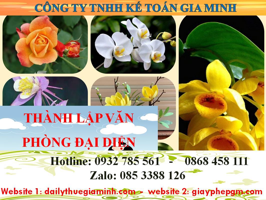 Dịch vụ thành lập văn phòng đại diện tại Quận 7 4 Thủ tục thành lập văn phòng đại diện tại Quận 7