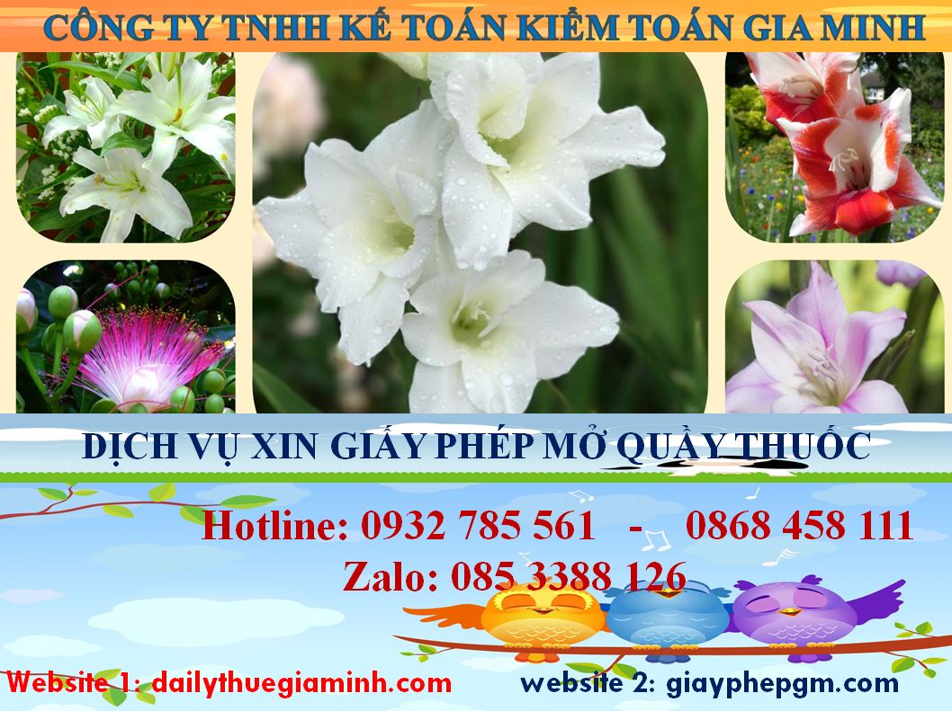 Xin giấy phép mở nhà thuốc tại huyện Bắc Tân Uyên 4 Thủ tục mở quầy thuốc tại huyện Bắc Tân Uyên