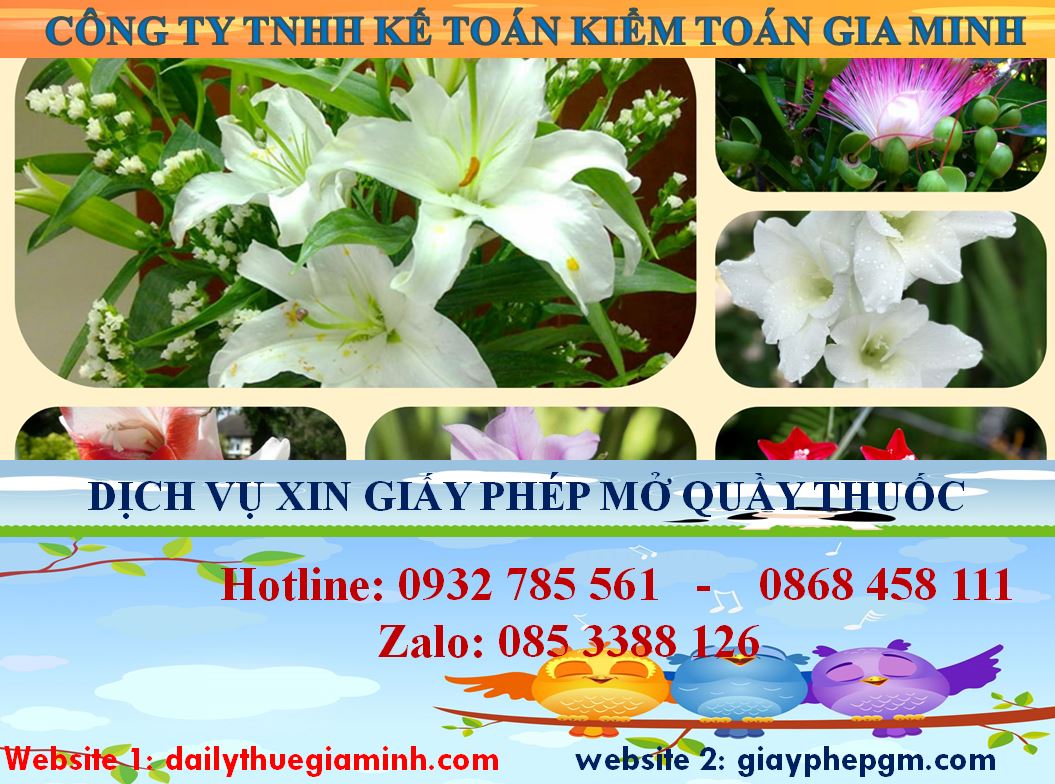 Xin giấy phép mở nhà thuốc tại huyện Bàu Bàng 4 Thủ tục mở quầy thuốc tại huyện Bàu Bàng