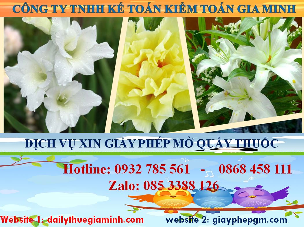 Xin giấy phép mở nhà thuốc tại Quận 12 4 Thủ tục xin giấy phép mở nhà thuốc tại Quận 12