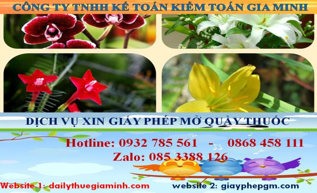 Xin giấy phép mở nhà thuốc tại Quận Bình Thạnh 4 Thủ tục xin giấy phép mở nhà thuốc tại Quận Bình Thạnh