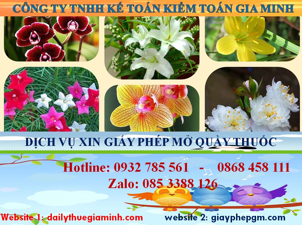 Xin giấy phép mở nhà thuốc tại thành phố Thủ Dầu Một 4 Thủ tục mở quầy thuốc tại thành phố Thủ Dầu Một