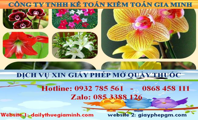 Xin giấy phép mở nhà thuốc tại thị xã Thuận An 4 Thủ tục mở quầy thuốc tại thị xã Thuận An