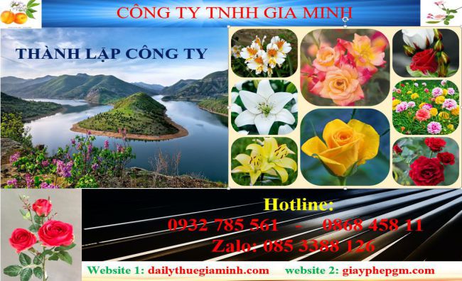 Tư vấn thành lập công ty tại Khánh Hòa 4 Dịch vụ thành lập công ty tại Khánh Hòa