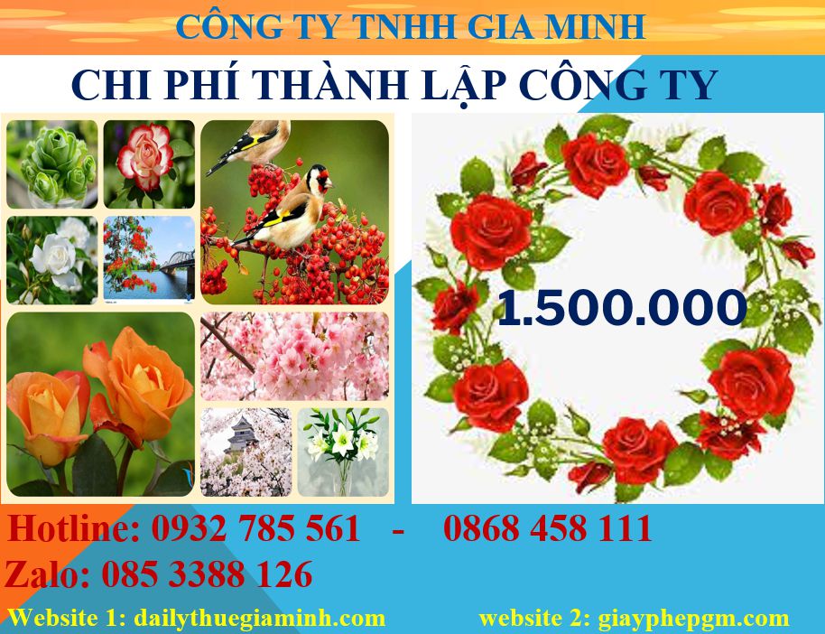 Tư vấn thành lập công ty tại An Giang 5 Chi phí thành lập công ty tại An Giang