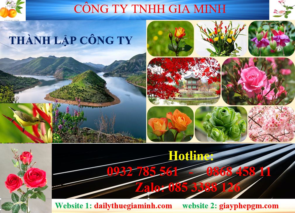 Tư vấn thành lập công ty tại An Giang 4 Dịch vụ thành lập công ty tại An Giang