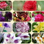 Tư vấn thành lập công ty tại An Giang 6 Tư vấn thành lập doanh nghiệp tại An Giang