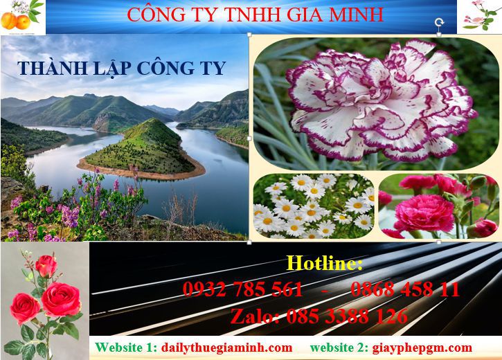 Tư vấn thành lập công ty tại Bắc Kạn 4 Dịch vụ thành lập công ty tại Bắc Cạn