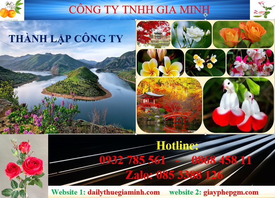 Dịch vụ thành lập công ty tại Bình Dương