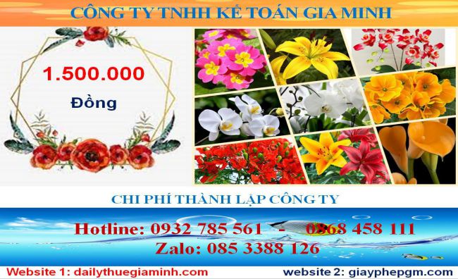 Tư vấn thành lập công ty tại Bình Thuận - Dịch vụ uy tín, nhanh chóng 5 Chi phí thành lập công ty tại Bình Thuận