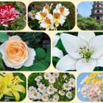 Tư vấn thành lập công ty tại Bình Thuận - Dịch vụ uy tín, nhanh chóng 6 Tư vấn thành lập công ty tại Bình Thuận