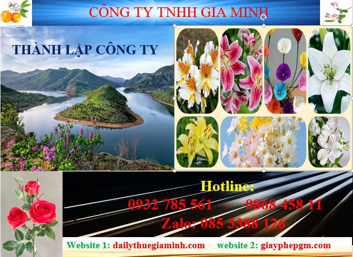 Tư vấn thành lập công ty tại Bình Thuận - Dịch vụ uy tín, nhanh chóng 4 Dịch vụ thành lập công ty tại Bình Thuận