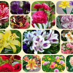 Tư vấn thành lập công ty tại Hà Nam 6 Tư vấn thành lập công ty tại Hà Nam