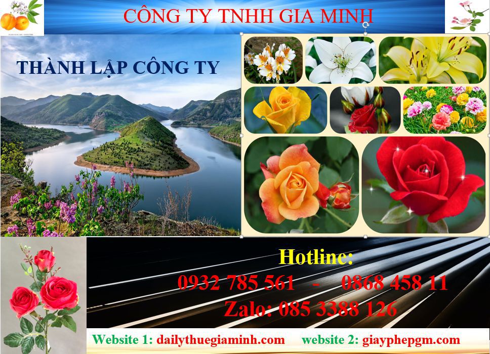 Tư vấn thành lập công ty tại Hà Nam 4 Dịch vụ thành lập công ty tại Hà Nam