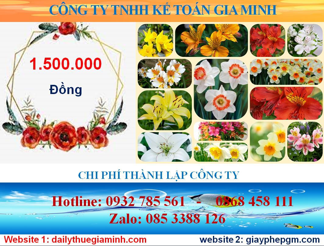 Tư vấn thành lập công ty tại Hà Nội – Giải pháp tối ưu hóa cho doanh nghiệp. 5 Chi phí thành lập công ty tại Hà Nội