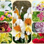 Tư vấn thành lập công ty tại Hà Nội – Giải pháp tối ưu hóa cho doanh nghiệp. 6 Tư vấn thành lập công ty tại Hà Nội