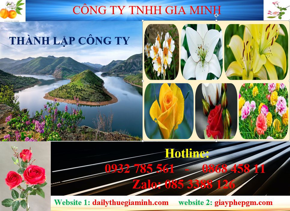 Tư vấn thành lập công ty tại Hà Nội – Giải pháp tối ưu hóa cho doanh nghiệp. 4 Dịch vụ thành lập công ty tại Hà Nội