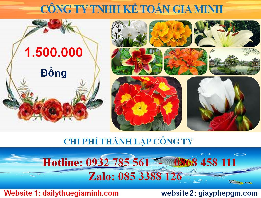 Tư vấn thành lập công ty tại Huyện Bắc Tân Uyên từ A đến Z mới nhất 2025 5 Chi phí thành lập công ty tại Huyện Bắc Tân Uyên