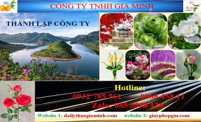 Tư vấn thành lập công ty tại Huyện Bắc Tân Uyên từ A đến Z mới nhất 2025 4 Dịch vụ thành lập công ty tại Huyện Bắc Tân Uyên