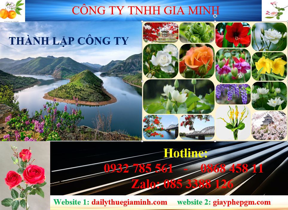 Tư vấn thành lập công ty tại Huyện Bầu Bàng 4 Dịch vụ thành lập công ty tại Huyện Bầu Bàng