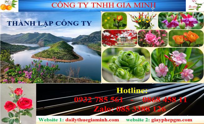 Tư vấn thành lập công ty tại Huyện Dầu Tiếng – Hướng dẫn chi tiết, trọn gói 2025 4 Dịch vụ thành lập công ty tại Huyện Dầu Tiếng