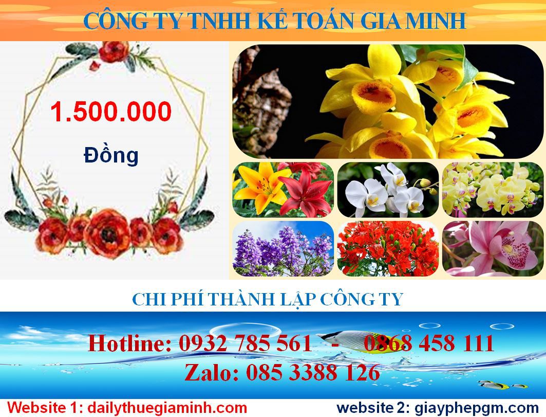 Tư vấn thành lập công ty tại Huyện Phú Giáo 5 Chi phí thành lập công ty tại Huyện Phú Giáo