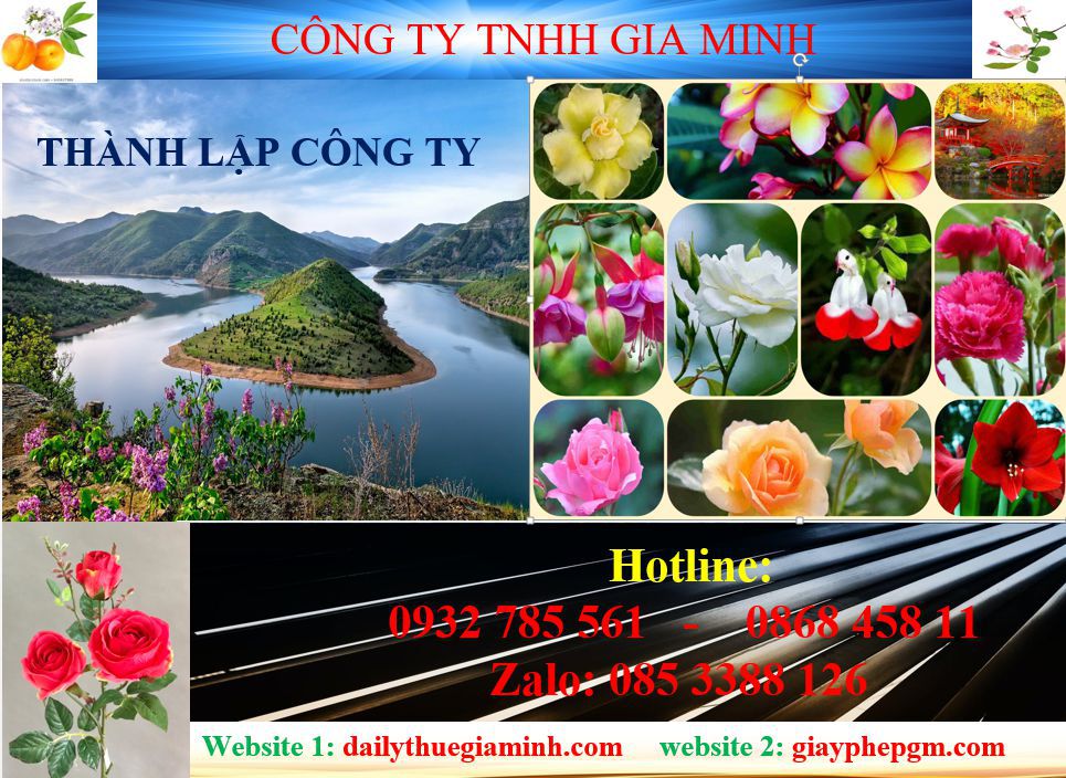 Tư vấn thành lập công ty tại Huyện Phú Giáo 4 Dịch vụ thành lập công ty tại Huyện Phú Giáo