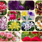 Tư vấn thành lập công ty tại Khánh Hòa 6 Tư vấn thành lập công ty tại Khánh Hòa