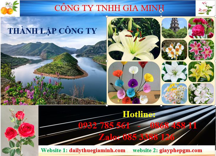 Tư vấn thành lập công ty tại Lào Cai 4 Dịch vụ thành lập công ty tại Lào Cai