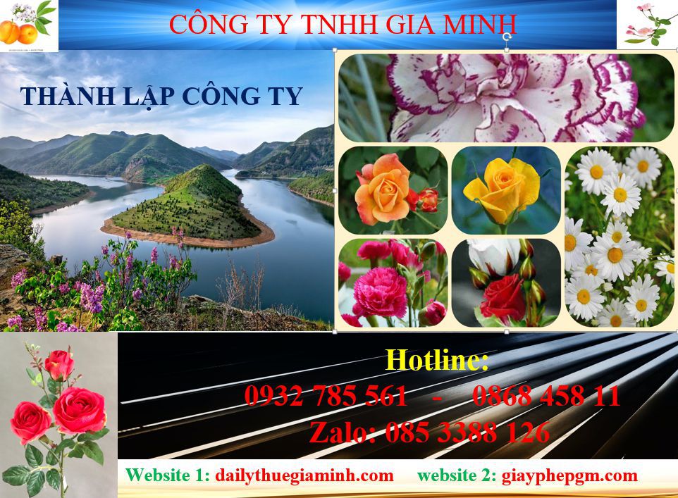 Tư vấn thành lập công ty tại Quận 10 4 Dịch vụ thành lập công ty tại Quận 10
