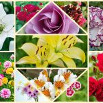 Tư vấn thành lập công ty tại Quận Phú Nhuận 6 Tư vấn thành lập công ty tại Quận Phú Nhuận