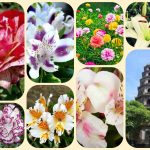 Tư vấn thành lập công ty tại Quận Tân Bình 6 Tư vấn thành lập công ty tại Quận Tân Bình