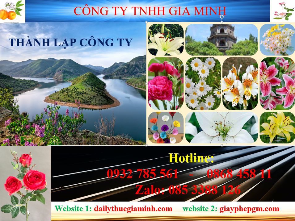 Tư vấn thành lập công ty tại Quận Tân Bình 4 Dịch vụ thành lập công ty tại Quận Tân Bình