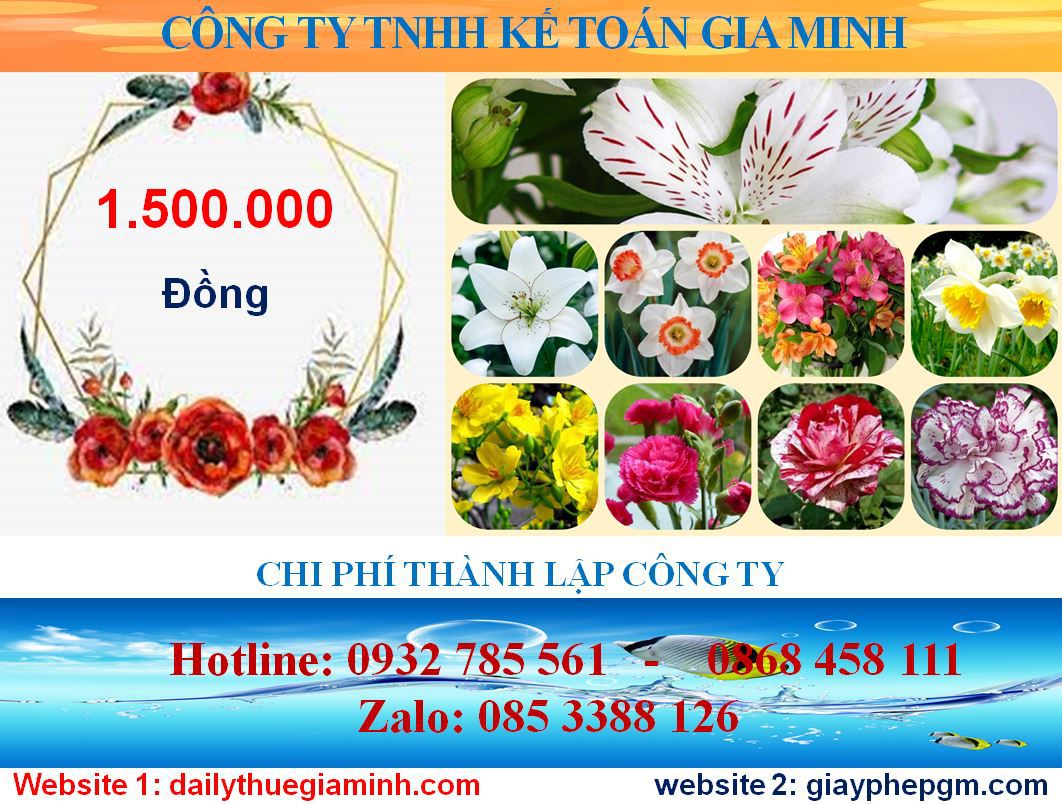 Tư vấn thành lập công ty tại Quảng Ngãi 5 Chi phí thành lập công ty tại Quảng Ngãi