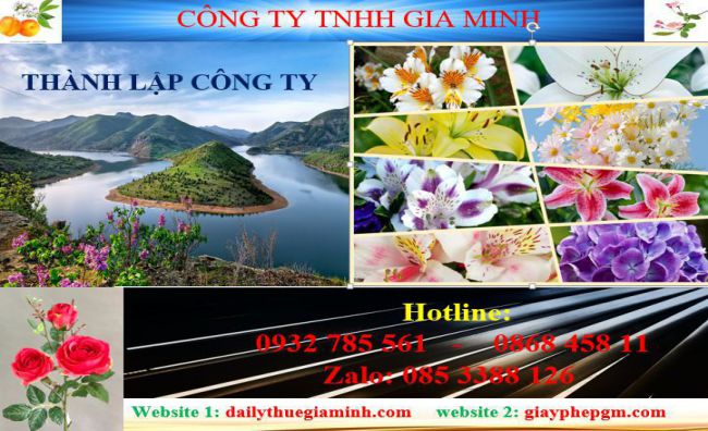 Tư vấn thành lập công ty tại Quảng Ngãi 4 Dịch vụ thành lập công ty tại Quảng Ngãi