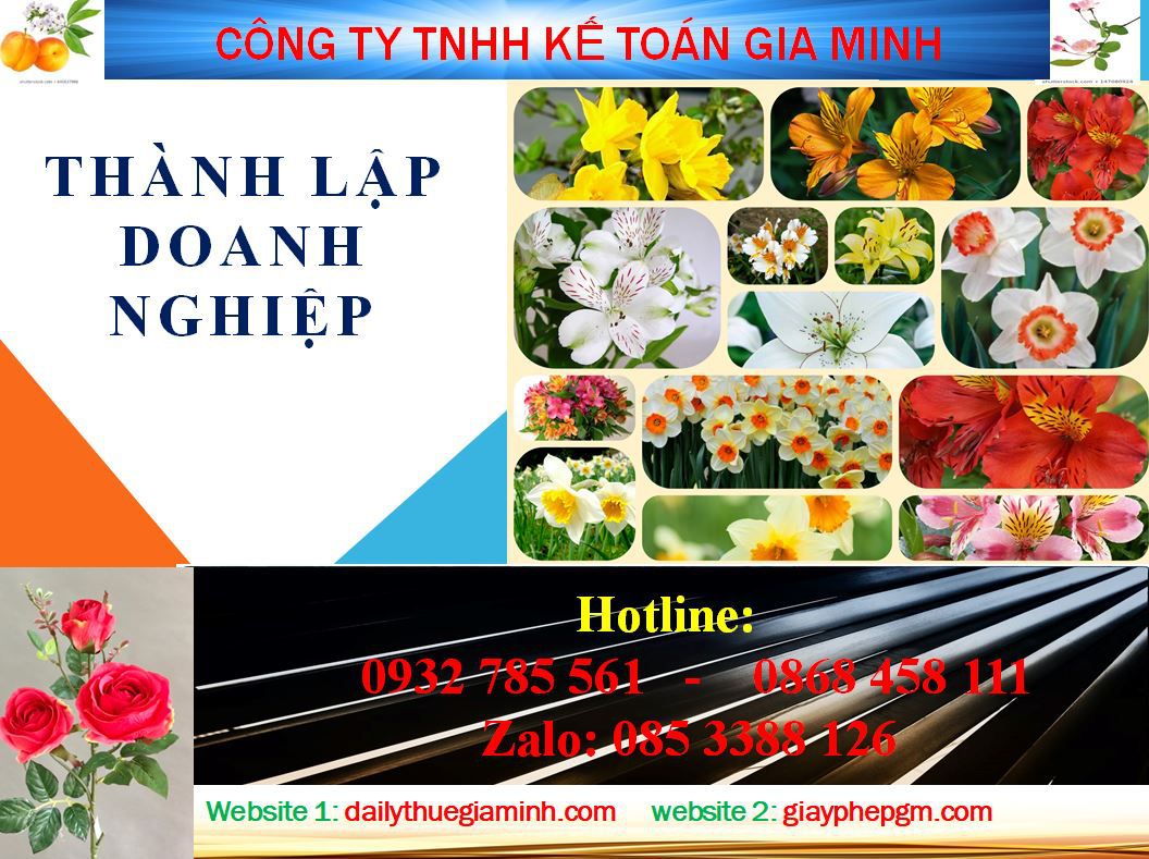 Dịch vụ thành lập công ty tại Thành Phố Thủ Dầu Một