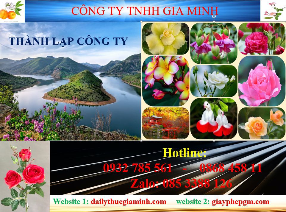 Tư vấn thành lập công ty tại Thị Xã Tân Uyên 4 Dịch vụ thành lập công ty tại Thị Xã Tân Uyên