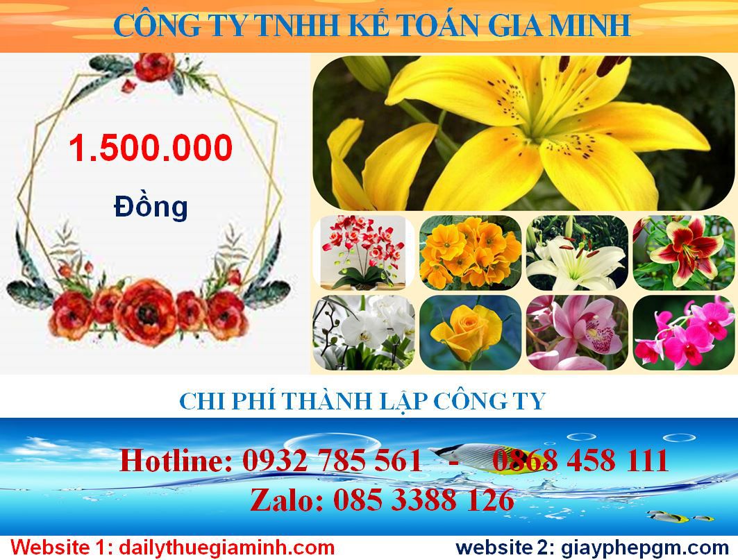 Tư vấn thành lập công ty tại Thị Xã Thuận An 5 Chi phí thành lập công ty tại Thị Xã Thuận An