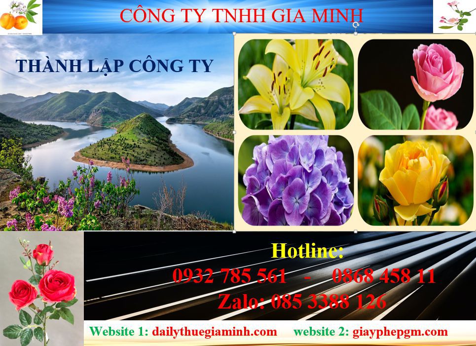 Tư vấn thành lập công ty tại Thành Phố Hồ Chí Minh 4 Dịch vụ thành lập công ty tại Thành Phố Hồ Chí Minh