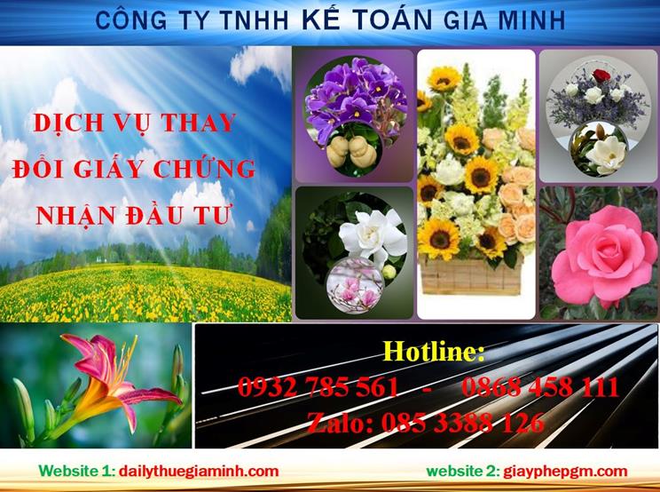 Tư vấn thay đổi giấy chứng nhận đầu tư tại Bình Thuận 4 Dịch vụ thay đổi giấy chứng nhận đầu tư tại Bình Thuận