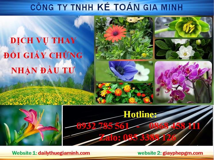 Tư vấn thay đổi giấy chứng nhận đầu tư tại Hà Nam 4 Dịch vụ thay đổi giấy chứng nhận đầu tư tại Hà Nam