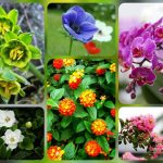 Tư vấn thay đổi giấy chứng nhận đầu tư tại Hà Nam 6 Muốn thay đổi giấy chứng nhận đầu tư tại Hà Nam