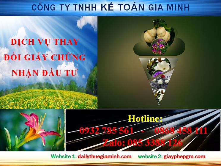 Tư vấn thay đổi giấy chứng nhận đầu tư tại Hà Nội nhanh chóng, chuyên nghiệp 4 Dịch vụ thay đổi giấy chứng nhận đầu tư tại Hà Nội