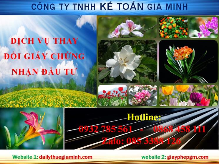 Tư vấn thay đổi giấy chứng nhận đầu tư tại Huế 4 Dịch vụ thay đổi giấy chứng nhận đầu tư tại Huế